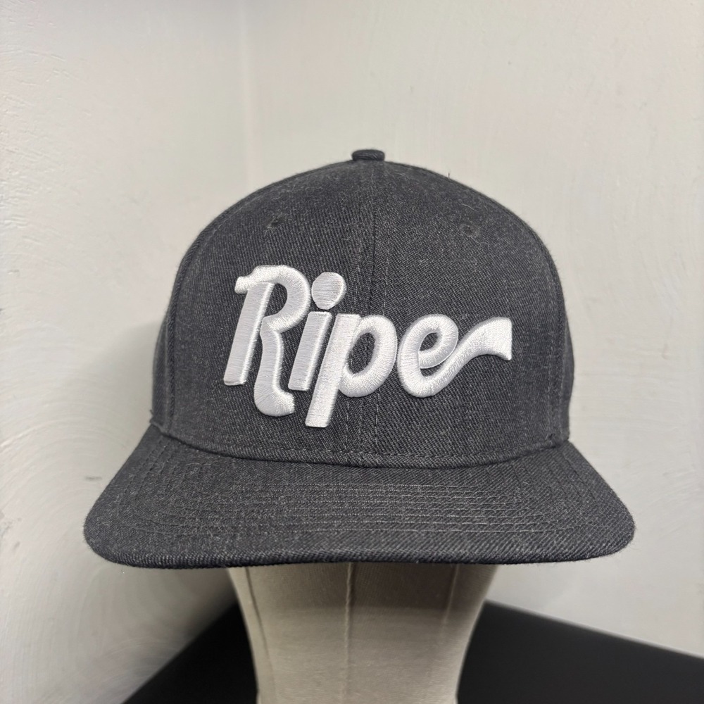 Ripe Gray Snapback Hat Cap Unisex Adult OSFM Joy In‎ The Wild Unknown